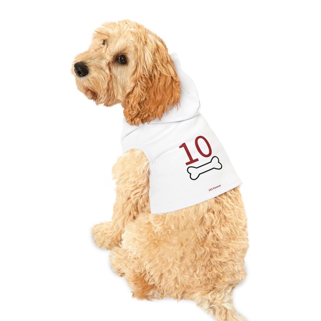 10th  Teammates:  Team Hoodie - Dog's