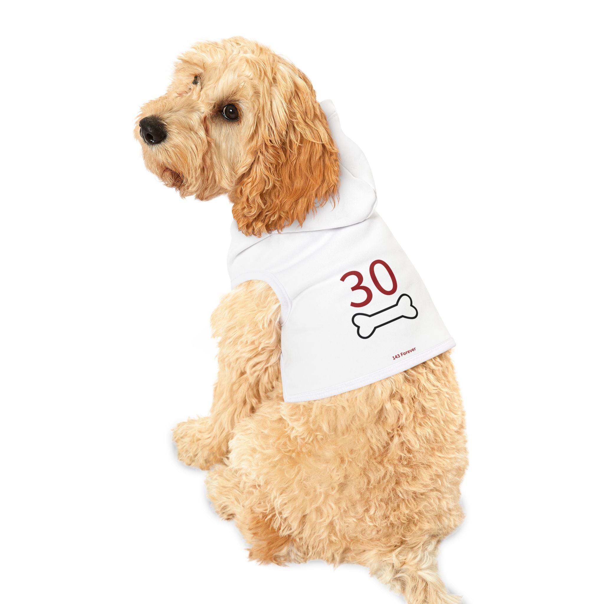 30th  Teammates:  Team Hoodie - Dog's