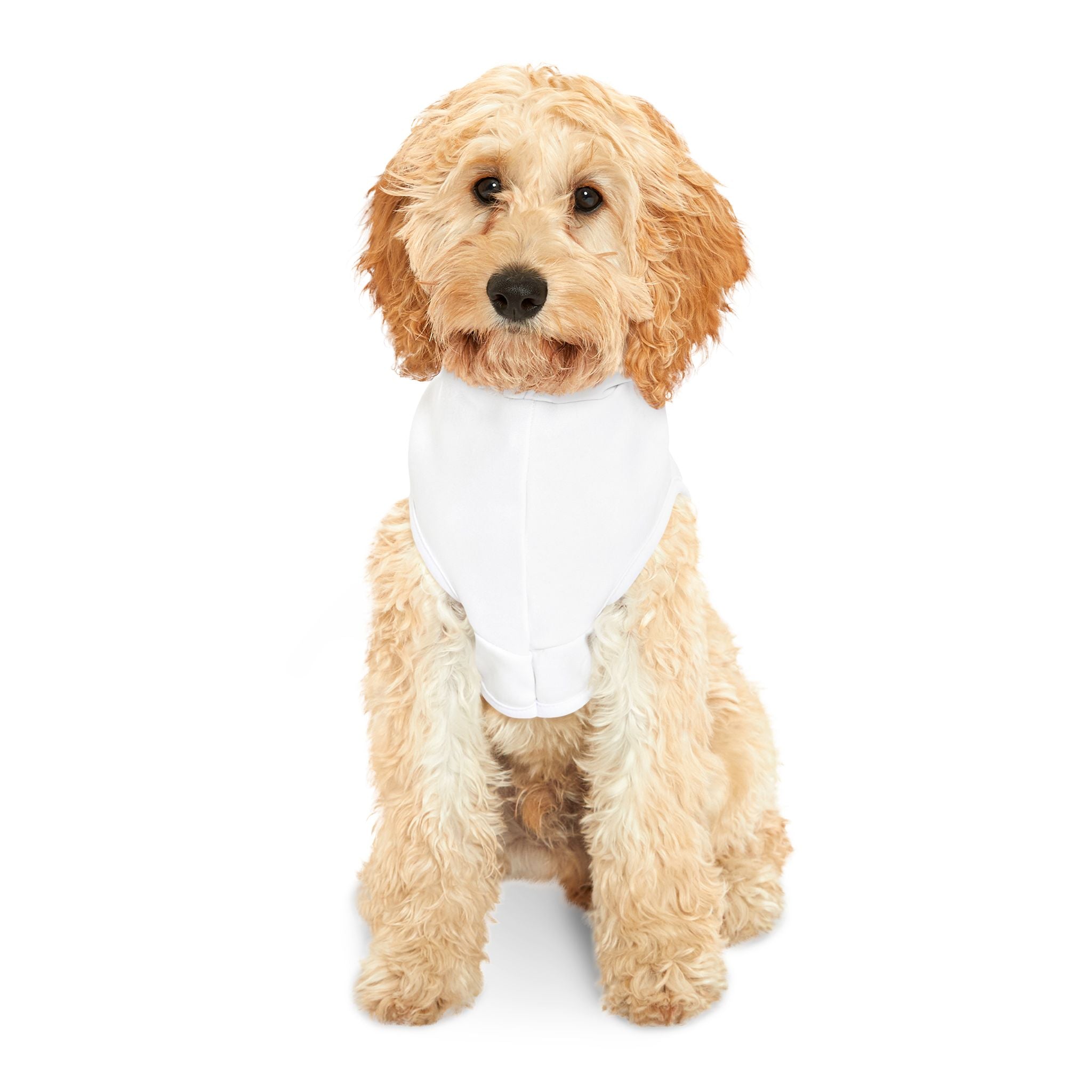 21st  Teammates:  Team Hoodie - Dog's